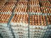 Bhutan records highest retail egg prices in the region