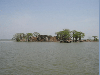 The Gambia’s heritage is under siege, and our future cannot wait