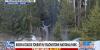 Viral video shows shocking bison attack at Yellowstone National Park