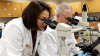 University of Oxford develops new Ebola vaccine 