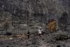 Spain identifies six victims of deadly wildfire