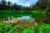 Estonia tops an environmental ranking dominated by Europe