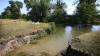 The sewage-filled chalk stream where pollution is 100 times above target