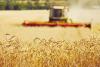 Kazakhstan Agricultural Exports Rise 36% in Early 2026