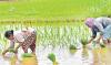 Farmers in Chief Minister’s home district worried over water scarcity