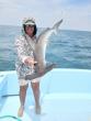 Fishing – especially for sharks and tuna – now as hot as the weather