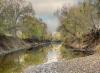 Johnson Cosumnes Mitigation Bank Approved in Sacramento County, California