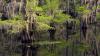 Why this Louisiana lake is one of the most beautiful places in the US