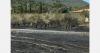 All agricultural sectors affected by fire in Pyrénées-Orientales