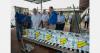 Chiquita plans to export 11 million boxes of bananas from Panama this year