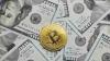 State-backed Bitcoin venture blocked by Executive Council | CloseUp
