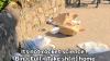 'Travellingwelshman' slams lazy litterbugs