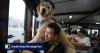 Hong Kong’s Star Ferry seeks 30% fare rise, eyes pet-friendly service