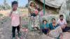 Days after boy killed in lion attack, Gujarat to deploy drones, trackers for pilgrims’ safety on Mount Girnar