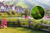 Move Over Lyme Disease: There’s A New Tick-Borne Illness To Worry About
