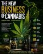 Analysis: The Gold Rush Is Over. Michigan Cannabis Is Becoming a Consumer Products Business