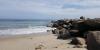 I live in Rhode Island. My favorite town to visit in the summer has great seafood, quiet beaches, and a bamboo forest.