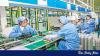 China’s GDP growth set to slow