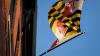 Streeter: Thank God I live in Maryland
