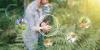 European Crop Breeding Research Project Launches