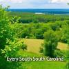 In Our DNA SC Now Available in Every South Carolina County