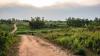 Four Ugandan farmers sue in London, seeking to halt oil pipeline through Uganda and Tanzania