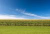 Global Weather Concerns and China Demand Are Spiking Corn, Soybean, and Wheat Prices
