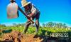 Morocco reviews Green Plan strategy after five years of drought