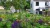 Award-winning climate education programme to expand from Westport to the Royal Canal
