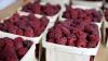 Latest foodborne illness making the rounds is no joke. Here’s how to avoid it