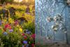 Study: Pesticide-Intensive Orchards Create “Ecological Traps” for Pollinators, Reducing Insect Abundance by 68%