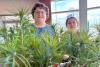 Rainbow Board one of four in Canada to get 100% EcoSchools certification