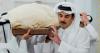 Pawns or power brokers? Gulf states again seek to sway U.S.-Iran war