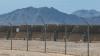 Arizona solar farm becomes haven for burrowing owls