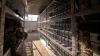 Tennessee bitcoin mine's 'noise never stops,' and officials weigh 2-year data center freeze