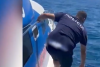 Border Police Rescue Nine Foreign Tourists in Two Separate Sea Incidents