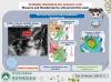 Observatory warns of thunderstorms as low-pressure system develops