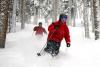 Investigations find no evidence of government conspiracy in offer to buy Telluride ski area