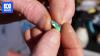 International buyers hit outback markets to hunt for Australia's best opals