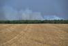 AP News: Fire in Fontainebleau forest near Paris triggers evacuations; 10 still missing in Spanish wildfire