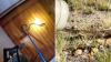 South Africa rescuer removes venomous cobra from woman's room, then safely relocates it