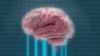 Brain Makes Decisions Far Earlier Than Scientists Thought: Challenge for AI Design