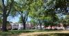 Organizers hope new Downtown Dover farmers market will help rebuild community trust