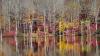 Cooler and? What Old Farmer's Almanac predicts for NJ this fall