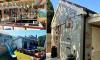 Britain's Pub Shed of the Year finalists revealed: Ornate backyard 'man caves' feature beer gardens, pool tables and pints on tap