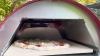 Consumer Reports tests reveal the best outdoor pizza ovens
