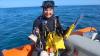 Australian biologists spend 120 days at sea, get towed behind boats, and log 40 years of reef change