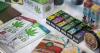 New ‘Cannabis Honestly’ campaign aims to help NY teens navigate a murky marijuana landscape