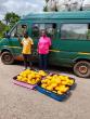 Police intercept 73 parcels of suspected cannabis, reject GH¢300K bribe; two arrested