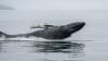Ethereum Whale Capitulates After 3 Years, Losses Top $19 Million